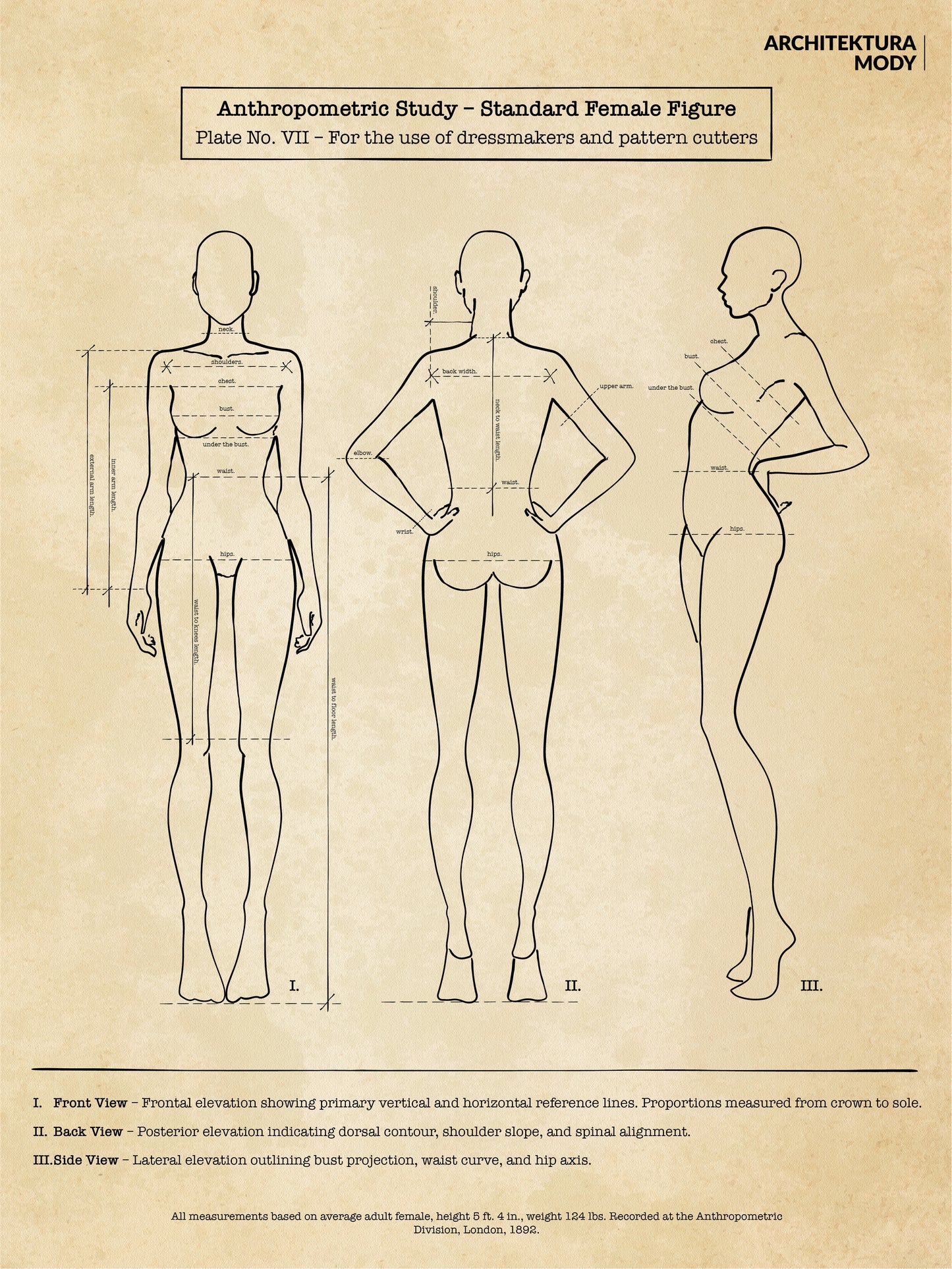 ANTHROPOMETRIC STUDY